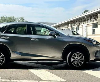 租车 Lexus NX #13963 Automatic 在 在阿利坎特，配备 2.0L 发动机 ➤ 来自 叶夫赫尼娅 在西班牙。