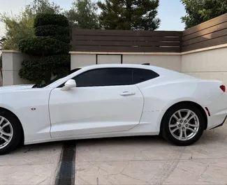 租车 Chevrolet Camaro #14985 Automatic 在 在阿利坎特，配备 3.6L 发动机 ➤ 来自 叶夫赫尼娅 在西班牙。