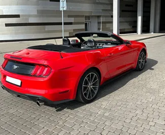租赁 Ford Mustang Cabrio 的正面视图，在明斯克, 白俄罗斯 ✓ 汽车编号 #15042。✓ Automatic 变速箱 ✓ 0 评论。
